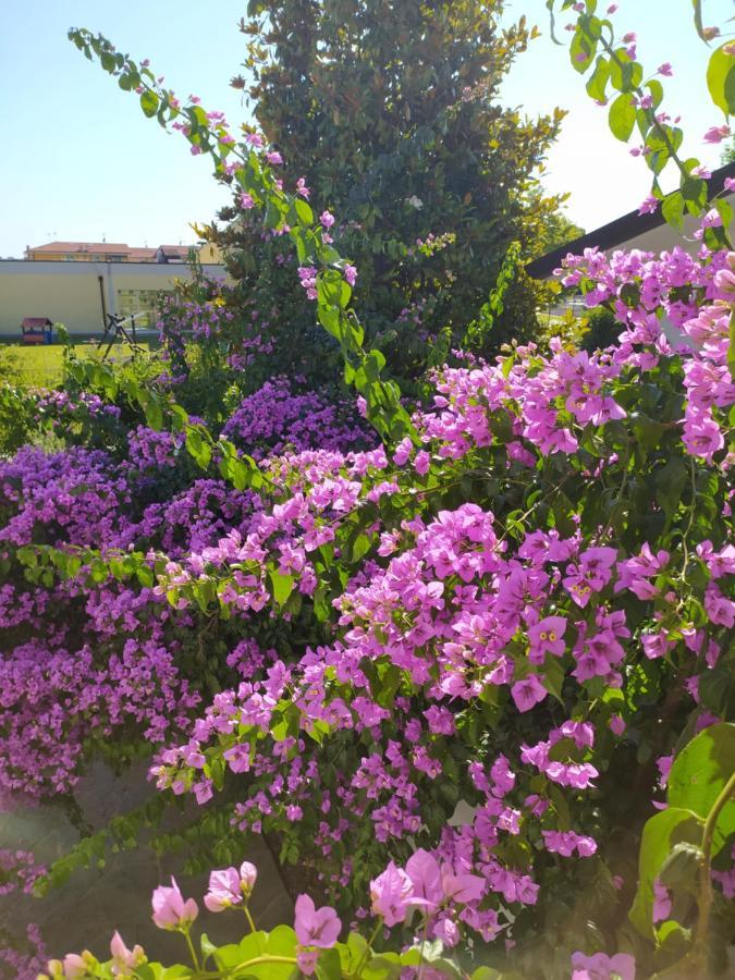 B&B Villa La Bouganville Camaiore Exteriér fotografie