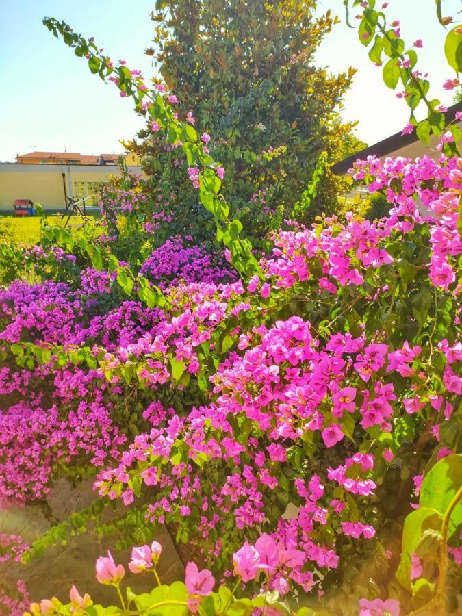 B&B Villa La Bouganville Camaiore Exteriér fotografie