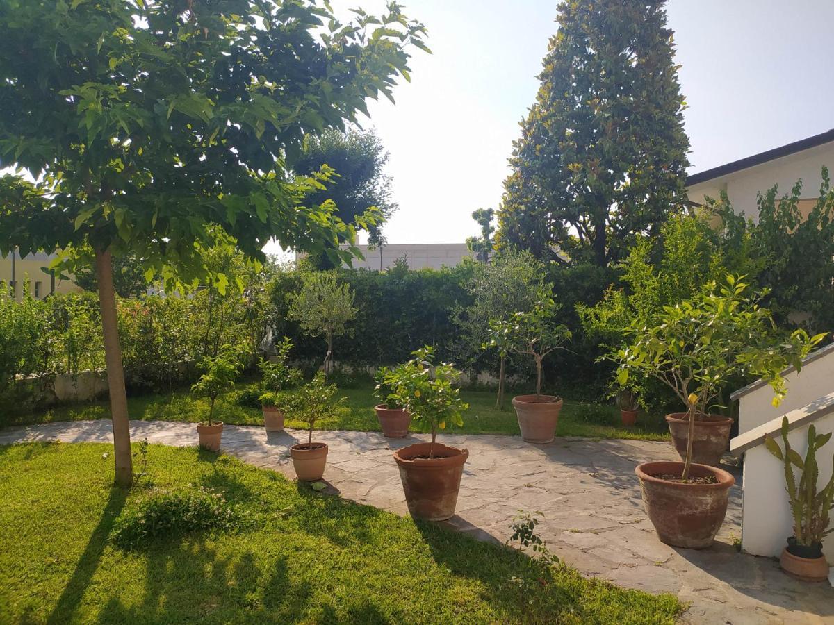 B&B Villa La Bouganville Camaiore Exteriér fotografie