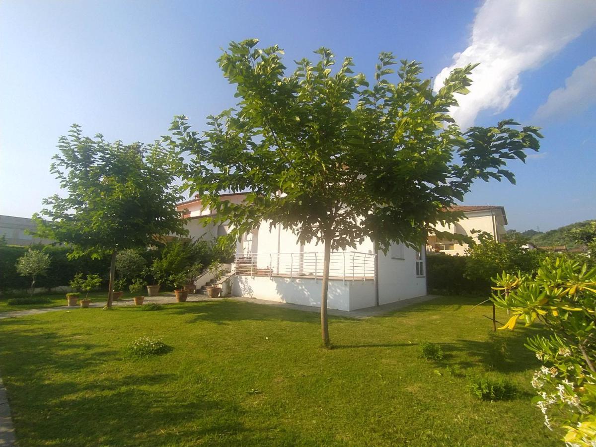 B&B Villa La Bouganville Camaiore Exteriér fotografie