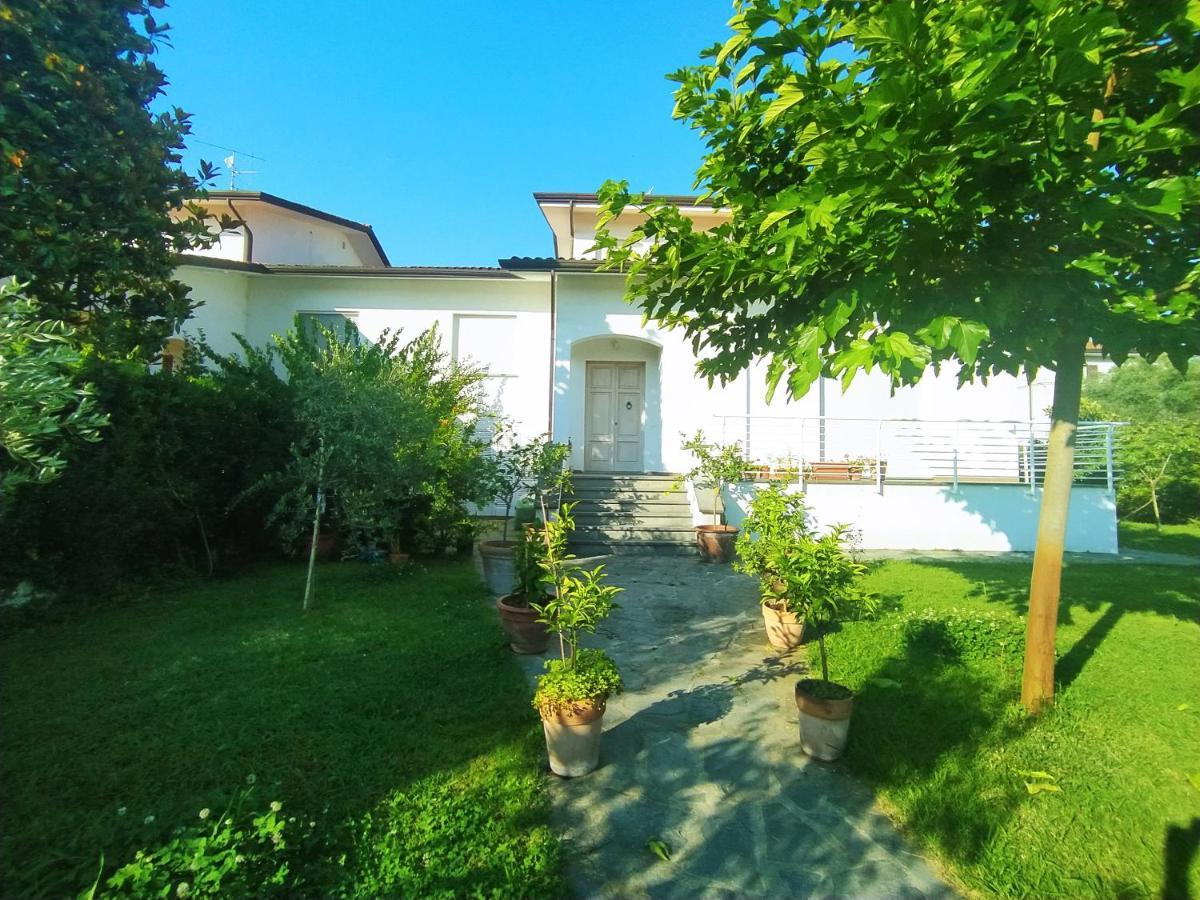 B&B Villa La Bouganville Camaiore Exteriér fotografie