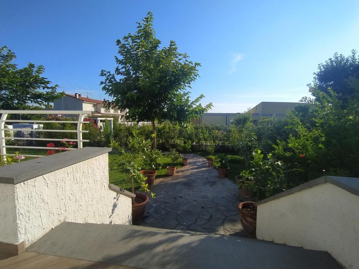 B&B Villa La Bouganville Camaiore Exteriér fotografie