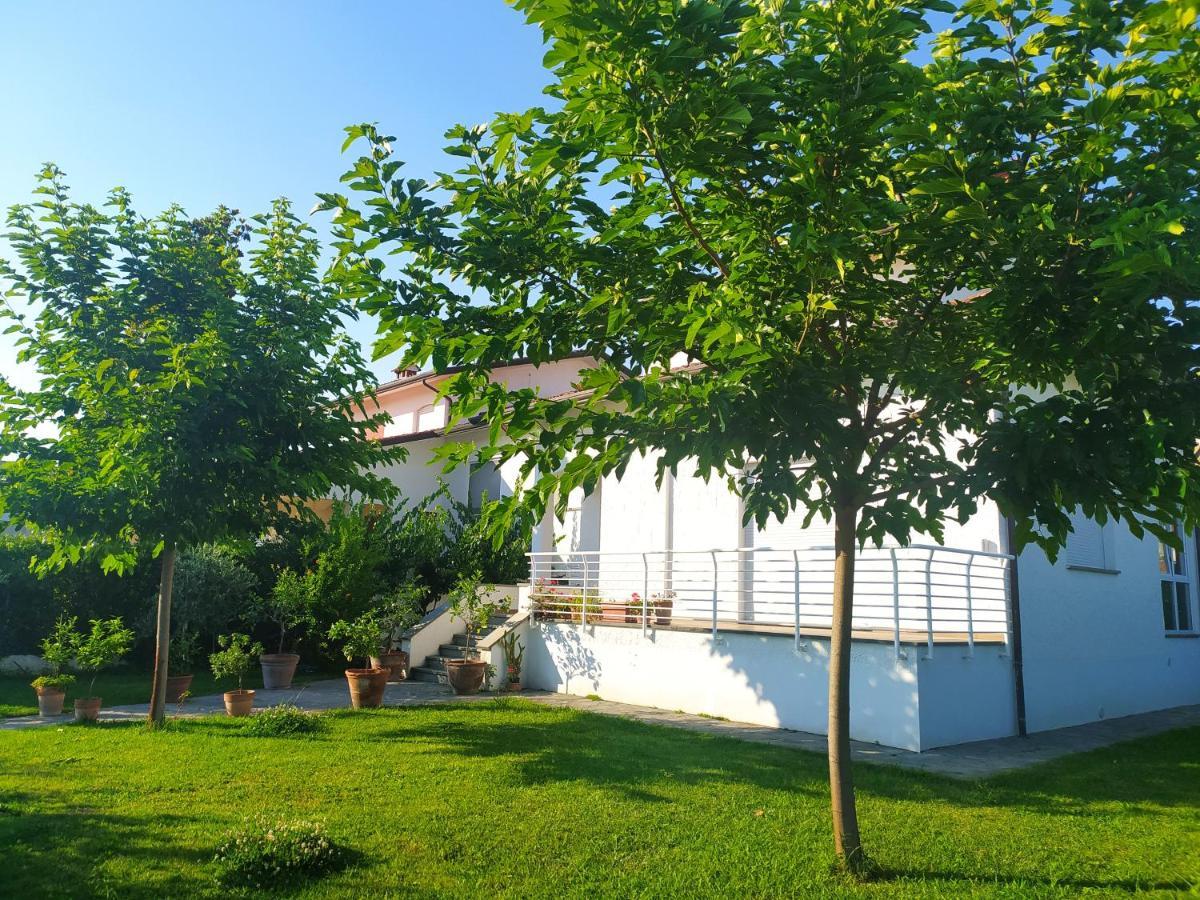 B&B Villa La Bouganville Camaiore Exteriér fotografie