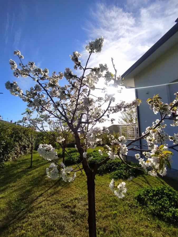 B&B Villa La Bouganville Camaiore Exteriér fotografie